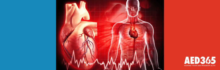 Sudden Cardiac Arrest Awareness Month: How You Can Help Save a Life